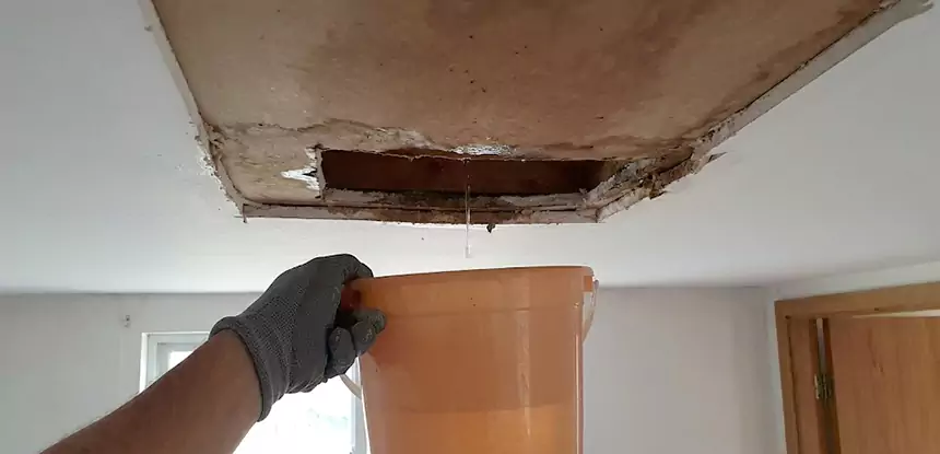 Ceiling Mold Repair Snellville