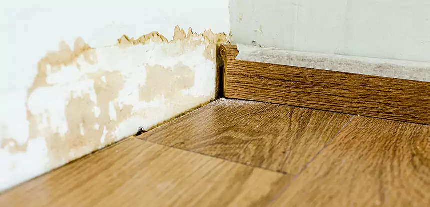 Professional Fix Water Damaged Wood Services in Snellville, GA