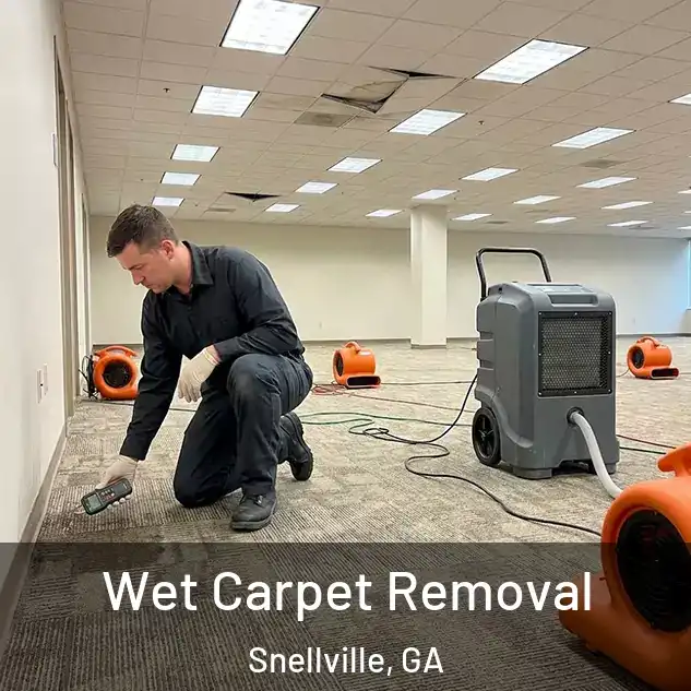  Wet Carpet Removal Snellville, GA